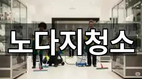 노다지청소