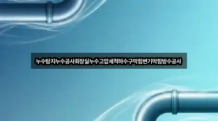 누수탐지누수공사화장실누수고압세척하수구막힘변기막힘방수공사