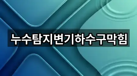 누수탐지변기하수구막힘