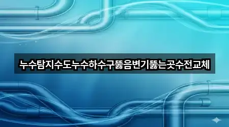 누수탐지수도누수하수구뚫음변기뚫는곳수전교체