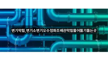 변기막힘,변기소변기오수정화조배관막힘뚫어뚫기뚫는곳