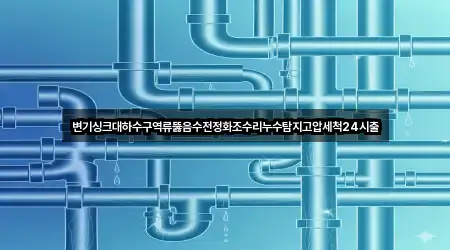 변기싱크대하수구역류뚫음수전정화조수리누수탐지고압세척24시출