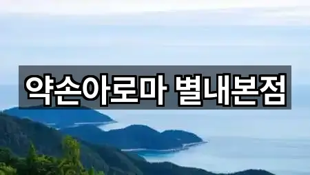 약손아로마 별내본점