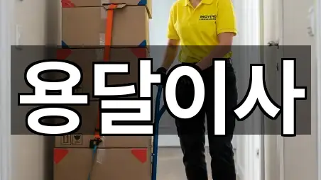 충청남도 공주시 주미동용달이사 4곳 전체 모음