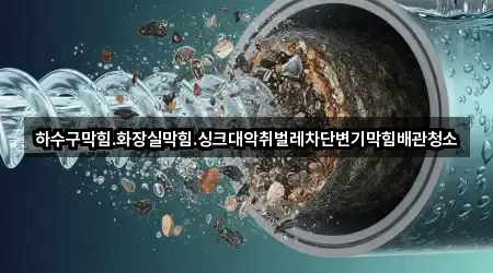 하수구막힘.화장실막힘.싱크대악취벌레차단변기막힘배관청소