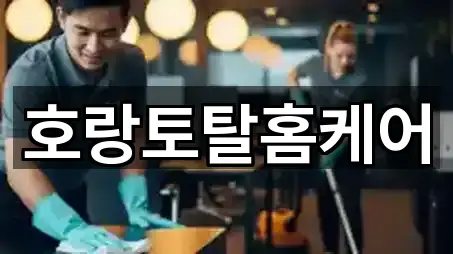 호랑토탈홈케어