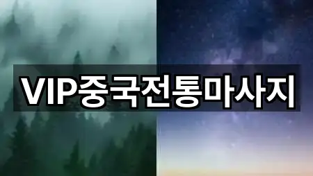 VIP중국전통마사지