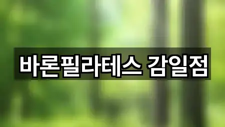 바론필라테스 감일점