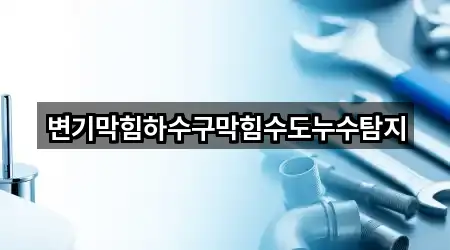 변기막힘하수구막힘수도누수탐지