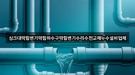 싱크대막힘변기막힘하수구막힘변기수리수전교체누수설비업체