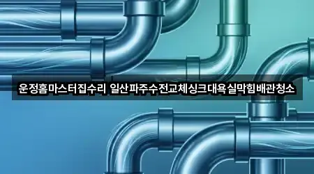 운정홈마스터집수리 일산파주수전교체싱크대욕실막힘배관청소