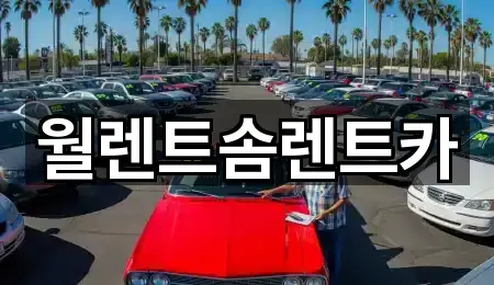 월렌트솜렌트카