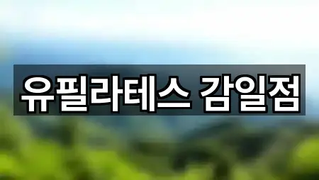 유필라테스 감일점