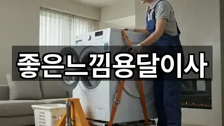 좋은느낌용달이사