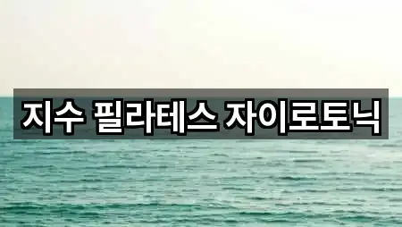 지수 필라테스 자이로토닉