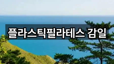 플라스틱필라테스 감일