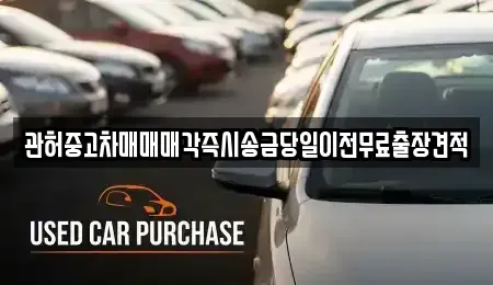 강원특별자치도 강릉시 강문동 중고차 전문 관허중고차매매매각즉시송금당일이전무료출장견적