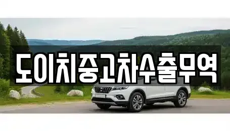 강원특별자치도 강릉시 강문동 중고차 전문 도이치중고차수출무역