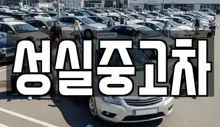 강원특별자치도 강릉시 강문동 중고차 전문 성실중고차