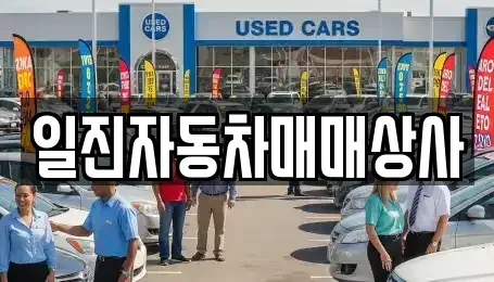 강원특별자치도 강릉시 운정동 중고차매매 전문 일진자동차매매상사
