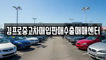 강원특별자치도 강릉시 운정동 단기렌트카,중고차매입,중고차매매,중고차,렌트카,장기렌트카
