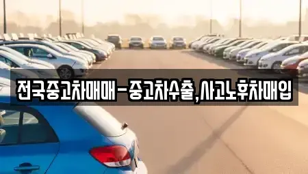 강원특별자치도 강릉시 운정동 중고차매입 전문 전국중고차매매-중고차수출,사고노후차매입