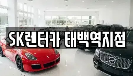 강원특별자치도 삼척시 도계읍 렌트카 전문 SK렌터카 태백역지점