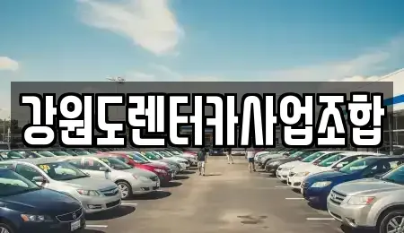 강원특별자치도 삼척시 도계읍 렌트카 전문 강원도렌터카사업조합