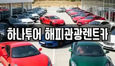 강원특별자치도 삼척시 도계읍 렌트카 전문 하나투어 해피관광렌트카