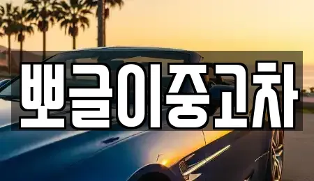 강원특별자치도 삼척시 도계읍 중고차매매 전문 뽀글이중고차