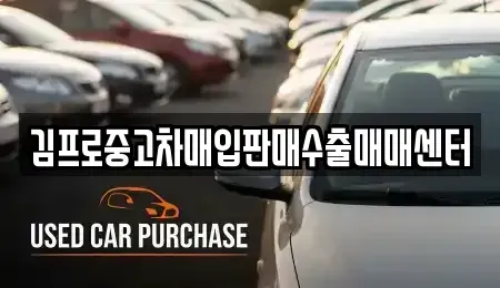강원특별자치도 삼척시 도계읍 단기렌트카,중고차매입,중고차매매,중고차,렌트카,장기렌트카