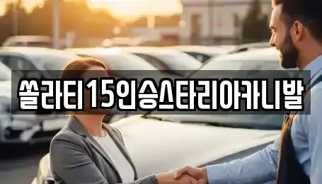 강원특별자치도 영월군 남면 렌트카 전문 쏠라티15인승스타리아카니발