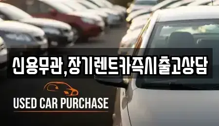 강원특별자치도 홍천군 장기렌트카 전문 신용무관,장기렌트카즉시출고상담