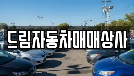 강원특별자치도 홍천군 중고차매매 전문 드림자동차매매상사