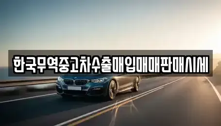 강원특별자치도 홍천군 중고차매입 전문 한국무역중고차수출매입매매판매시세