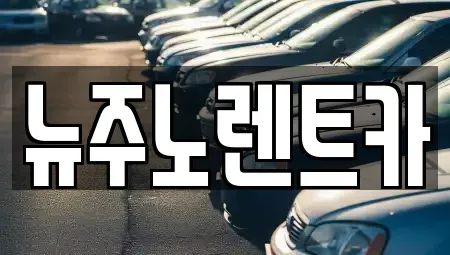 경기 고양시 덕양구 신평동 단기렌트카 전문 뉴주노렌트카