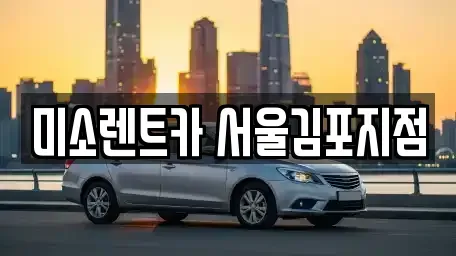 경기 고양시 덕양구 신평동 렌트카 전문 미소렌트카 서울김포지점