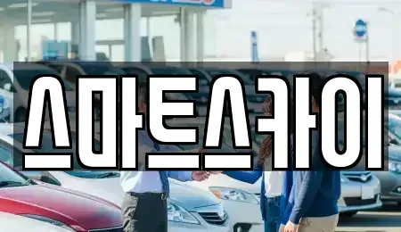 경기 고양시 덕양구 신평동 렌트카 전문 스마트스카이