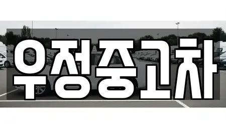 경기 고양시 덕양구 신평동 중고차 전문 우정중고차