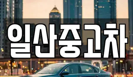 경기 고양시 덕양구 신평동 중고차 전문 일산중고차