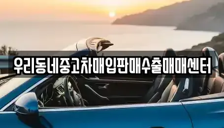 경기 고양시 덕양구 신평동 중고차매매 전문 우리동네중고차매입판매수출매매센터