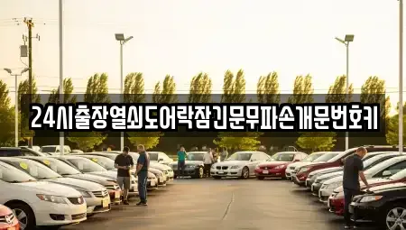 경기 고양시 덕양구 신평동 중고차매입 전문 24시출장열쇠도어락잠긴문무파손개문번호키