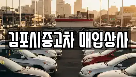 경기 고양시 덕양구 신평동 중고차매입 전문 김포시중고차 매입상사