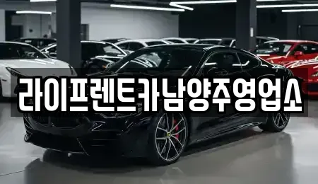 경기 남양주시 삼패동 렌트카 전문 라이프렌트카남양주영업소