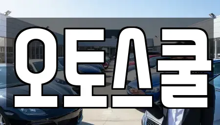 경기 남양주시 삼패동 장기렌트카 전문 오토스쿨