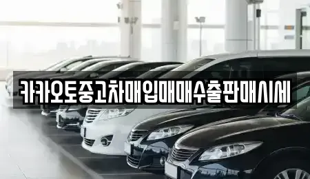 경기 남양주시 삼패동 중고차매매 전문 카카오토중고차매입매매수출판매시세