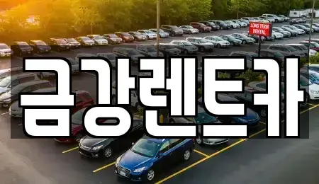 경기 수원시 권선구 구운동 렌트카 전문 금강렌트카