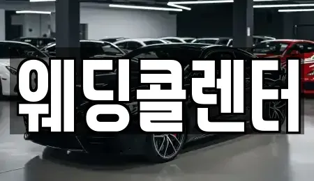 경기 수원시 권선구 구운동 장기렌트카 전문 웨딩콜렌터