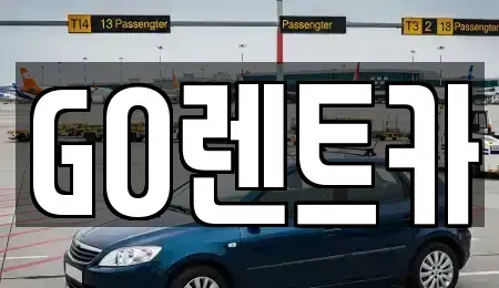경기 수원시 영통구 이의동 렌트카 전문 GO렌트카