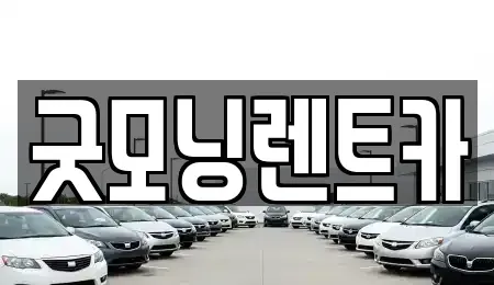 경기 수원시 영통구 이의동 렌트카 전문 굿모닝렌트카